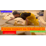 Клей для паркета SikaBond 54 parquet